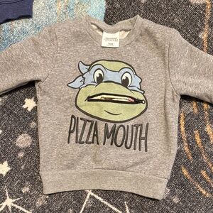 Nickelodeon Gray Teenage Mutant Ninja Turtle Kids Sweatshirt
